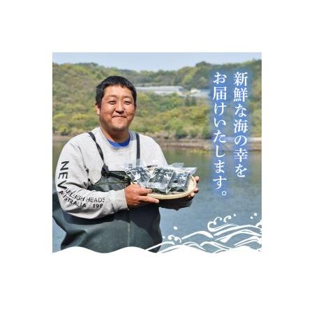 ふるさと納税 ＜先行予約受付中！2024年2月頃から順次発送予定＞礒永水産の乾燥あおさ 60g_iso-5621 鹿児島県長島町