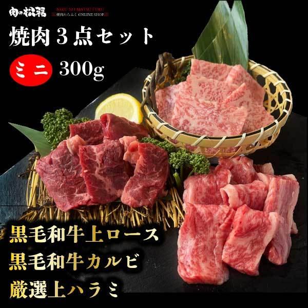 黒毛和牛 焼肉 セット 1人前 お試しセット カルビ ロース ハラミ 300g プレゼント