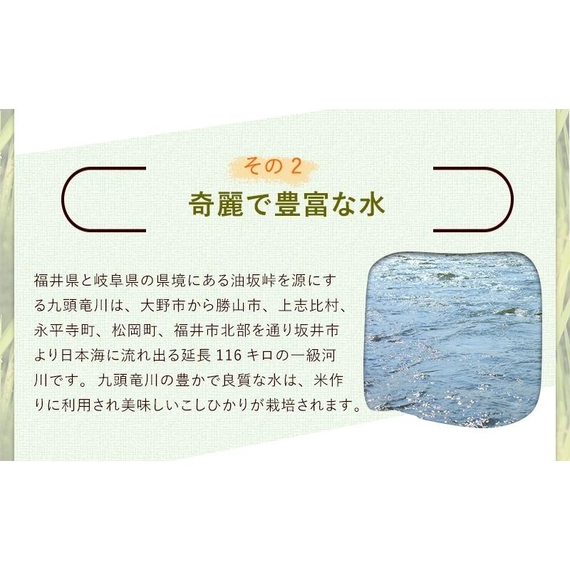 最高級コシヒカリ 令和4年福井県大野産 15kg ※米食味鑑定士鑑定済