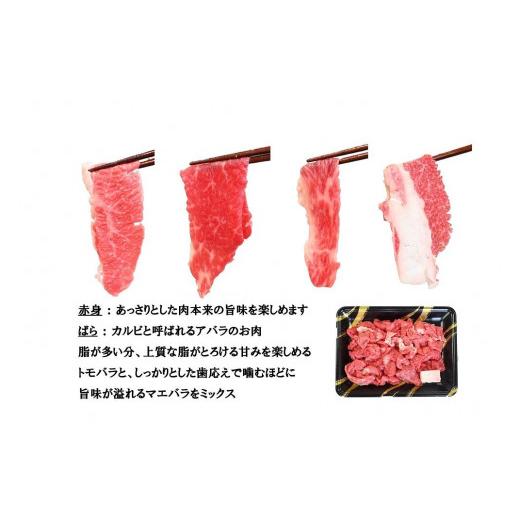 ふるさと納税 兵庫県 神戸市 一頭買い 神戸牛 訳あり 切り落とし500ｇ（500ｇ×1パック） 神戸キングミート