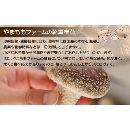 ふるさと納税 やまももファーム椎茸 冬菌はちきん生椎茸と乾燥椎茸のセット(合計約470g) しいたけ きのこ キノコ 野菜 国産 yo-0014 高知県香南市