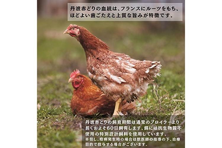 丹波赤どり もも肉 2kg （1kg ×2パック×12回）計24kg＜京都亀岡丹波山本＞業務用 鶏肉 鶏 モモ肉 冷凍 12ヶ月 1年間