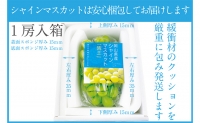 ぶどう 2024年 先行予約 シャイン マスカット 晴王 1房 約670g 晴れの国 おかやま 岡山県産 フルーツ王国 果物王国