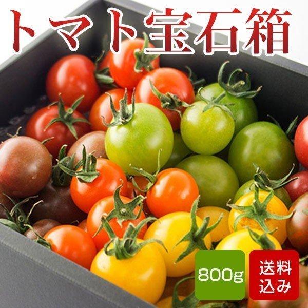 お歳暮 ギフト トマトの宝石箱 800g トマトの詰め合わせ  誕生日祝い 九州産 クール便
