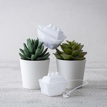 【超Q郵輪茶包】皇家英式茶系列 獨享包(3包入)伴手禮 禮物 紅茶