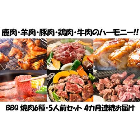 ふるさと納税 定期便 4ヵ月連続4回 BBQ 焼肉 5人前セット 6種 各1 お肉 牛肉 豚肉 鶏肉 羊肉 鹿肉 肉 ジビエ ジンギスカン 味付き たれ 焼き肉.. 北海道木古内町