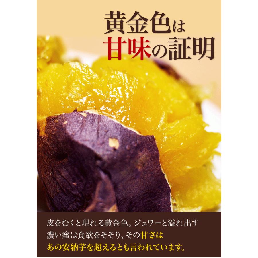 販売解禁 さつまいも 紅はるか べにはるか 1.5kg 送料無料 芋 熊本県産 スイーツ お取り寄せ 12月上旬-12月末頃より発送予定