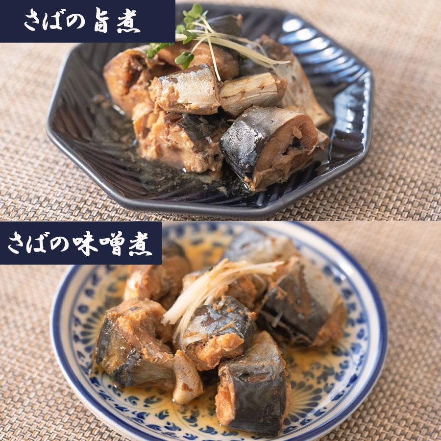 北海道産魚と肉の惣菜20種セット