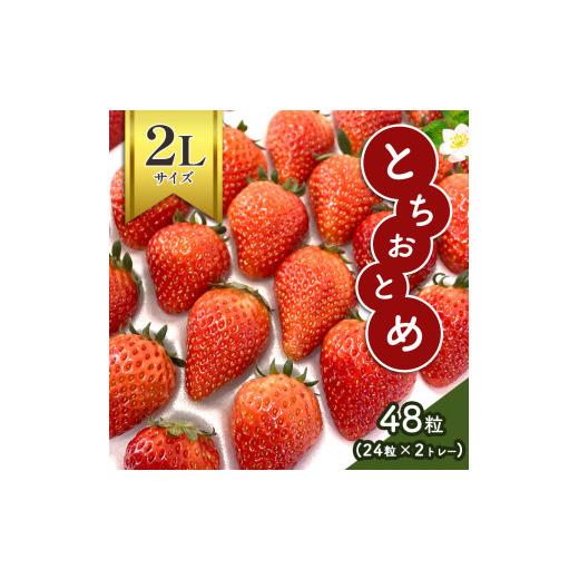 ふるさと納税 栃木県 真岡市  とちおとめ 2Lサイス゛24粒入り2トレー 真岡市 栃木県　