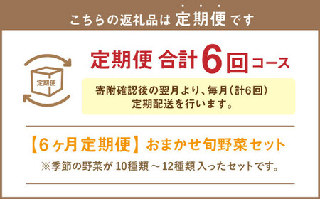  おまかせ旬野菜セット 旬 野菜 セット 北海道 北広島市