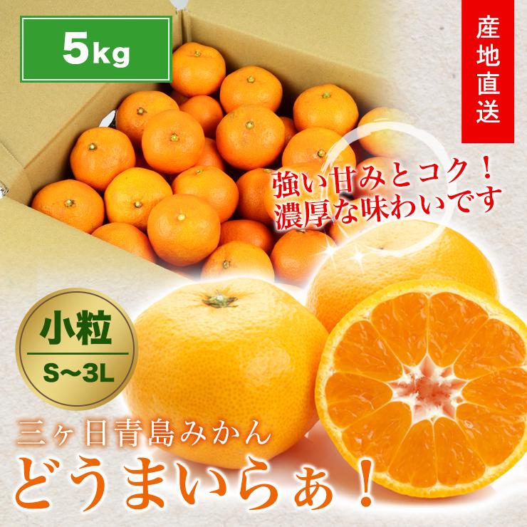 三ヶ日 青島 みかん 5kg 送料無料 サイズ混合 どうまいらぁ！ 小粒 大粒 S 〜 3L 三ヶ日みかん 訳ありみかん 産地直送 農家直送 ミカン