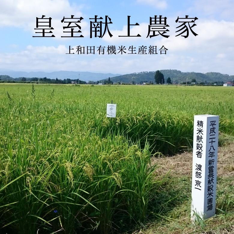 米 新米 コシヒカリ 5kg 農薬不使用 山形県産 お米 生きた玄米 紅の華 令和5年産 特A米 特別栽培米 上和田米