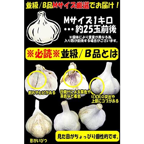 青森 にんにく 1kg B品 Mサイズ 国産 ニンニク 青森期待の新人商店