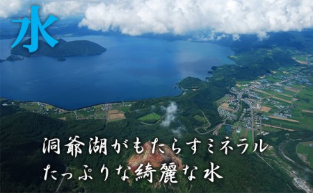 北海道壮瞥産　ななつぼし　計60kg（20kg×3ヵ月定期配送）