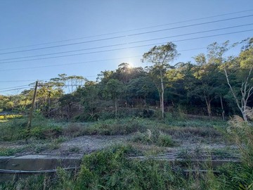 專任｜東勢最便宜五分地山坡地已整地路草好有水有電｜台中市東勢區坪埔段