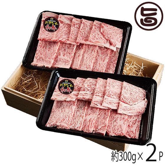 ギフト 箱入り おきなわ和牛 リブロース 焼肉 300g×2P おもろ企画 沖縄 土産 人気 沖縄県産 国産 牛肉 贈答用 贈り物