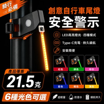 隔日達🏍️自行車流星尾燈 Type-C充電警示燈 流水燈 領航燈 自行車尾燈 走馬燈 燈流光 山地車燈夜