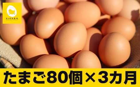 3ヵ月連続お届け　卵の黄身が掴めるほどの新鮮さ　美ら卵養鶏場の卵　各月80個