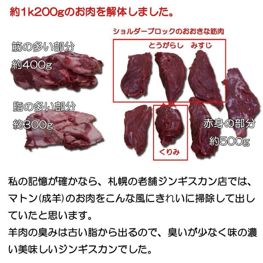 北海道 ラム肉 羊肉  ブロック ジンギスカン ラム ラムショルダー 500g×2 1kg  食材 冷凍 ご当地グルメ 食品  焼肉 お肉