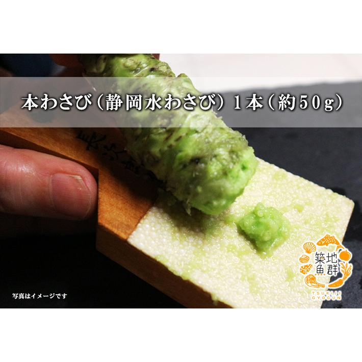 本わさび（静岡水わさび）1本（約50g） 冷蔵便