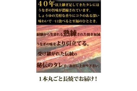 大型サイズ ふっくら柔らか国産うなぎ蒲焼き 2尾◇