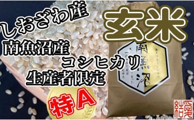 玄米 南魚沼しおざわ産コシヒカリ5Kg×3ヶ月