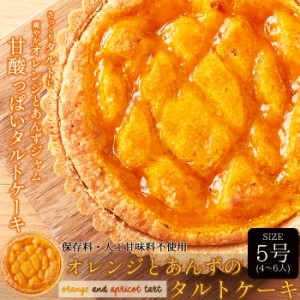 オレンジ と あんず の タルト ケーキ5号 甘酸っぱい味わいと香ばしいタルト生地が絶妙!!送料無料‘メール便