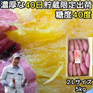 さつまいも 紅はるか 5kg 2l 大サイズ 完熟 甘い 熟成 さつま芋 贈答用 お中元 大分 芦刈農産 ねっとり 濃厚 蔵出し べにはるか ギフト