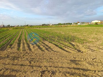 學甲區近學甲寮里「1分1」一般農｜台南市學甲區平東