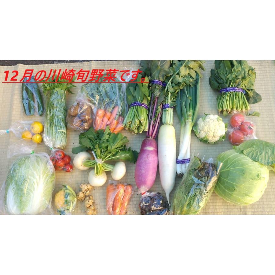 旬の野菜セット100（たっぷり8〜13種）