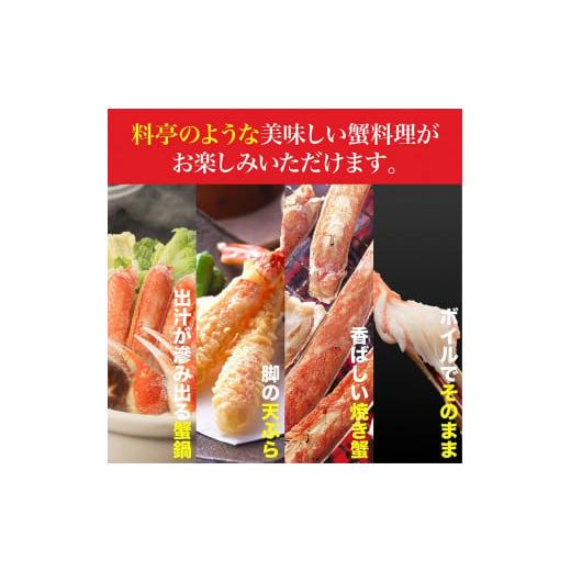 ふるさと納税 福岡県 福岡市 ズワイガニ ハーフポーション 1kg ボイル・カット済み＜福岡市製造＞