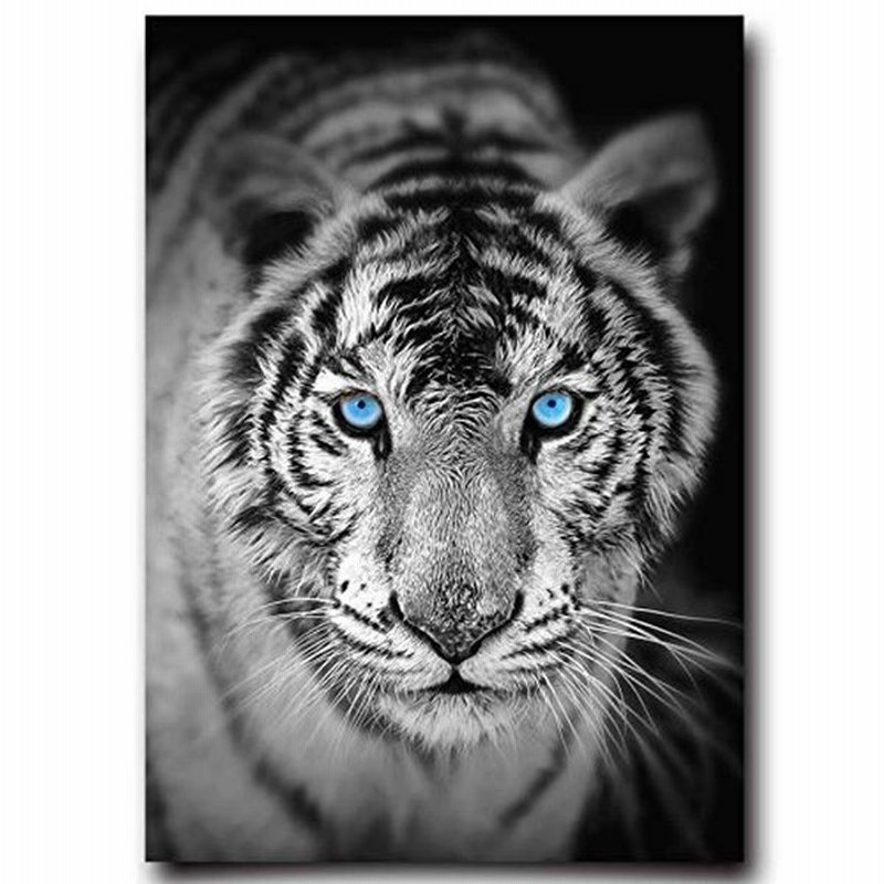 大迫力の トラ ポスター タイガー モノクロ 白黒 モダン アニマル アート おしゃれ インテリア イラスト ウォールペーパー 42 30 通販 Lineポイント最大get Lineショッピング