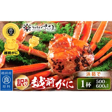 ふるさと納税 浜茹で 越前がに 約500〜600g × 1杯（茹で前重量） 食べ方しおり付き【雄 ズワイガニ ずわいがに かに カニ 蟹 姿 .. 福井県越前町