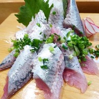  三陸南部沖産刺身イワシフィーレ 500G 冷凍 2セット