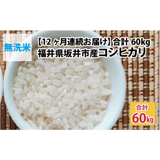 ふるさと納税 福井県 坂井市 福井県坂井市丸岡町産 コシヒカリ5kg×12回 計60kg（無洗米）  [I-11301_01]