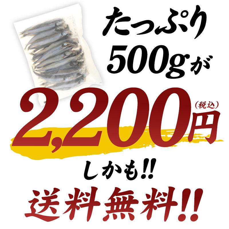 子持ちししゃも 500g［冷凍］