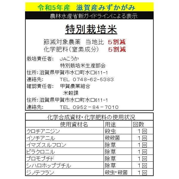 新米 令和5年産 特別栽培米 滋賀産 みずかがみ 10kg (5kg×2) 近江米 認証米 (玄米のまま（5kg×2）)