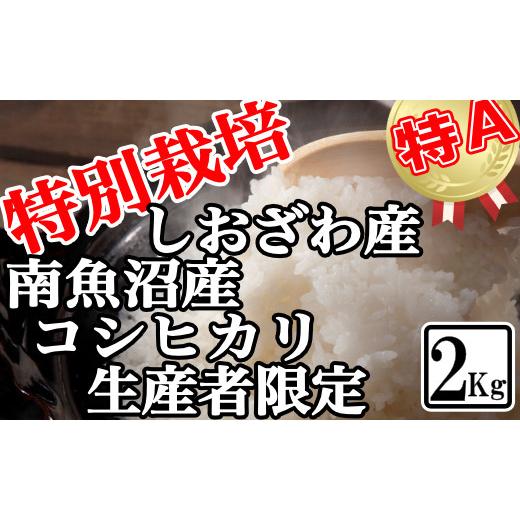 ふるさと納税 新潟県 南魚沼市 特別栽培 生産者限定 南魚沼しおざわ産コシヒカリ2Kg