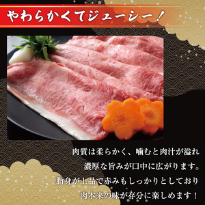 博多和牛サーロインしゃぶしゃぶすき焼き用 500g [a0456] 株式会社Meat Plus ※配送不可：離島添田町 ふるさと納税