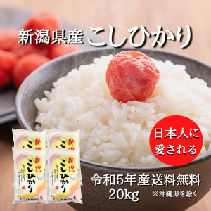 新潟県産 コシヒカリ 20kg （5キロ×4袋）  米 20キロ 送料無料 精米 令和5年 20kg お米