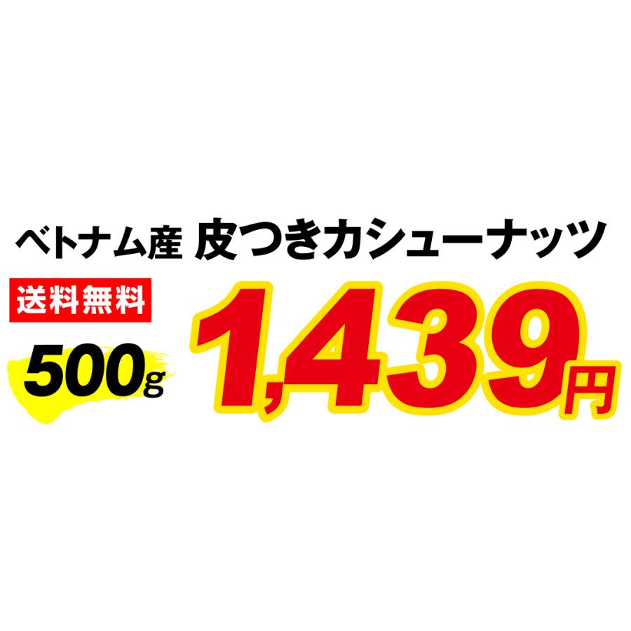 カシューナッツ 500g 皮あり 塩味 食品 送料無料 ポスト投函