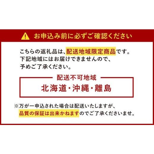 ふるさと納税 福岡県 太宰府市  福岡産あまおう3パック いちご フルーツ デザート