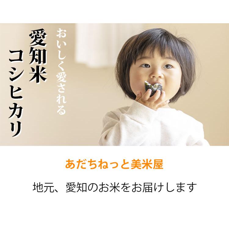 新米 お米 5kg 送料別 白米 コシヒカリ 愛知県産 令和5年産 お米 5キロ あす着く食品