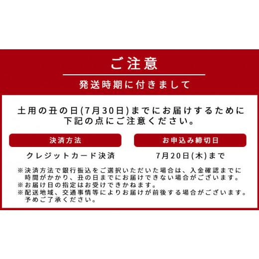 ふるさと納税 和歌山県 湯浅町 G6157_大型サイズ ふっくら柔らか 国産うなぎ 蒲焼き 3尾 (約6人前) 化粧箱入