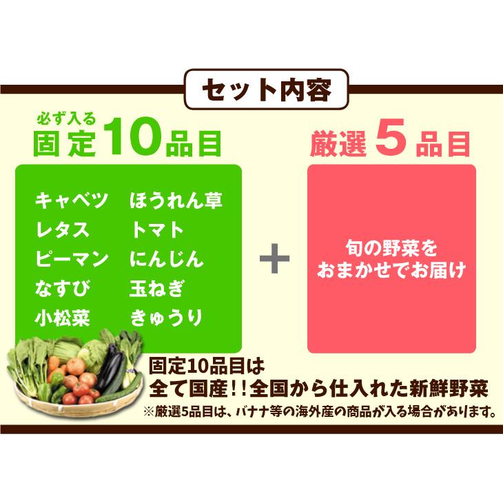 15品目の野菜セット 常温便 送料無料 食品