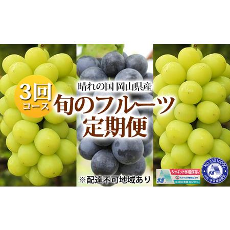 ふるさと納税 フルーツ 定期便 2024年 先行予約 晴れの国 岡山県産 旬のフルーツ定期便 3回コース 葡萄 ぶどう 岡山県産 国産 セット ギフト 岡山県岡山市