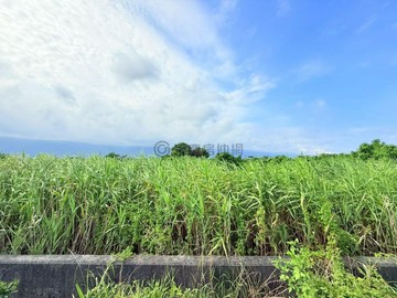 礁溪大塭臨15米大馬路大面寬方正小農地｜宜蘭縣礁溪鄉常興段