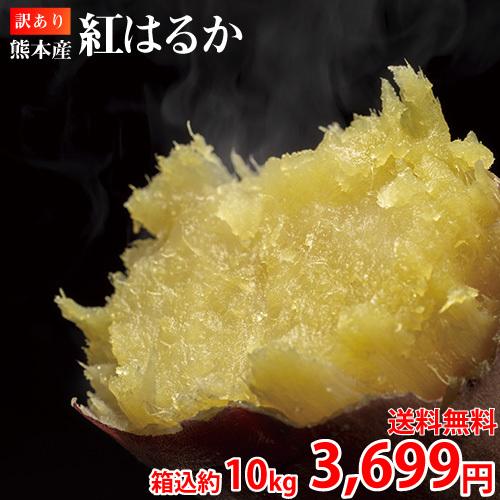 紅はるか 訳あり 箱込10kg 内容量9kg 補償分500g 送料無料 生芋 さつまいも  熊本県産 べにはるか サツマイモ  焼き芋に 芋 いも