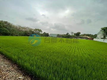 霧峰中投公路旁稀有置產節稅美農地｜台中市霧峰區五福北段
