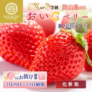 [予約 2024年2月11日-2月14日の納品] バレンタインデー おいCベリー 晴苺 約240g×2 DXまたはG 大粒サイズ 岡山県産他 DX等級 苺 いちご